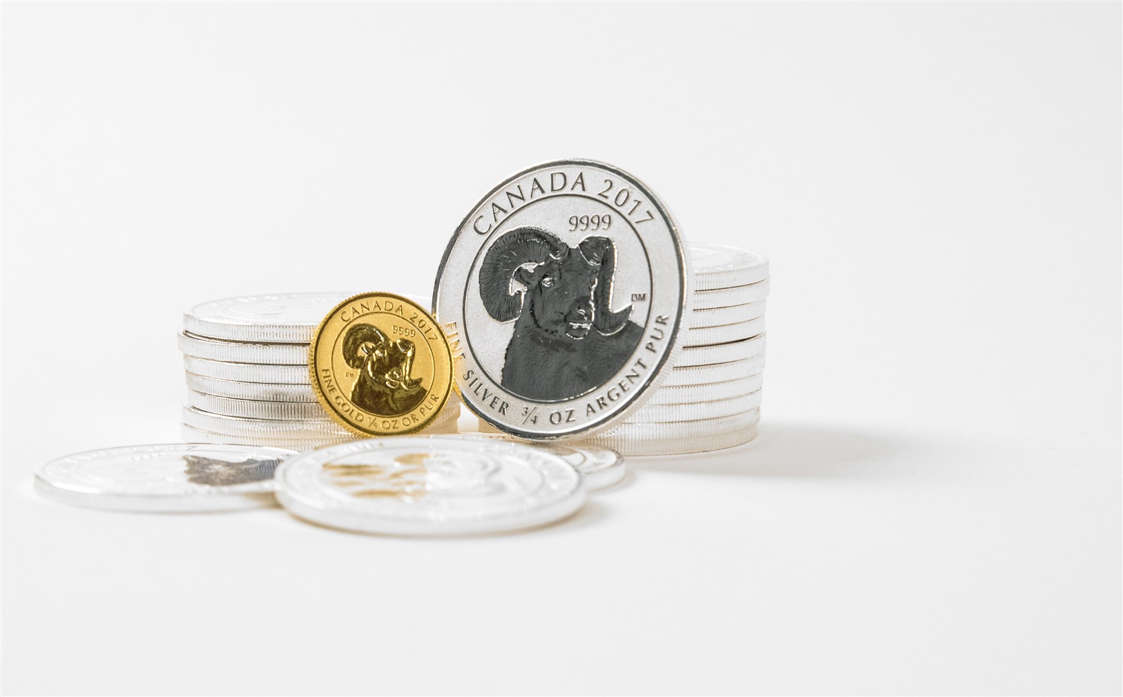 Big Horns Silver Gold