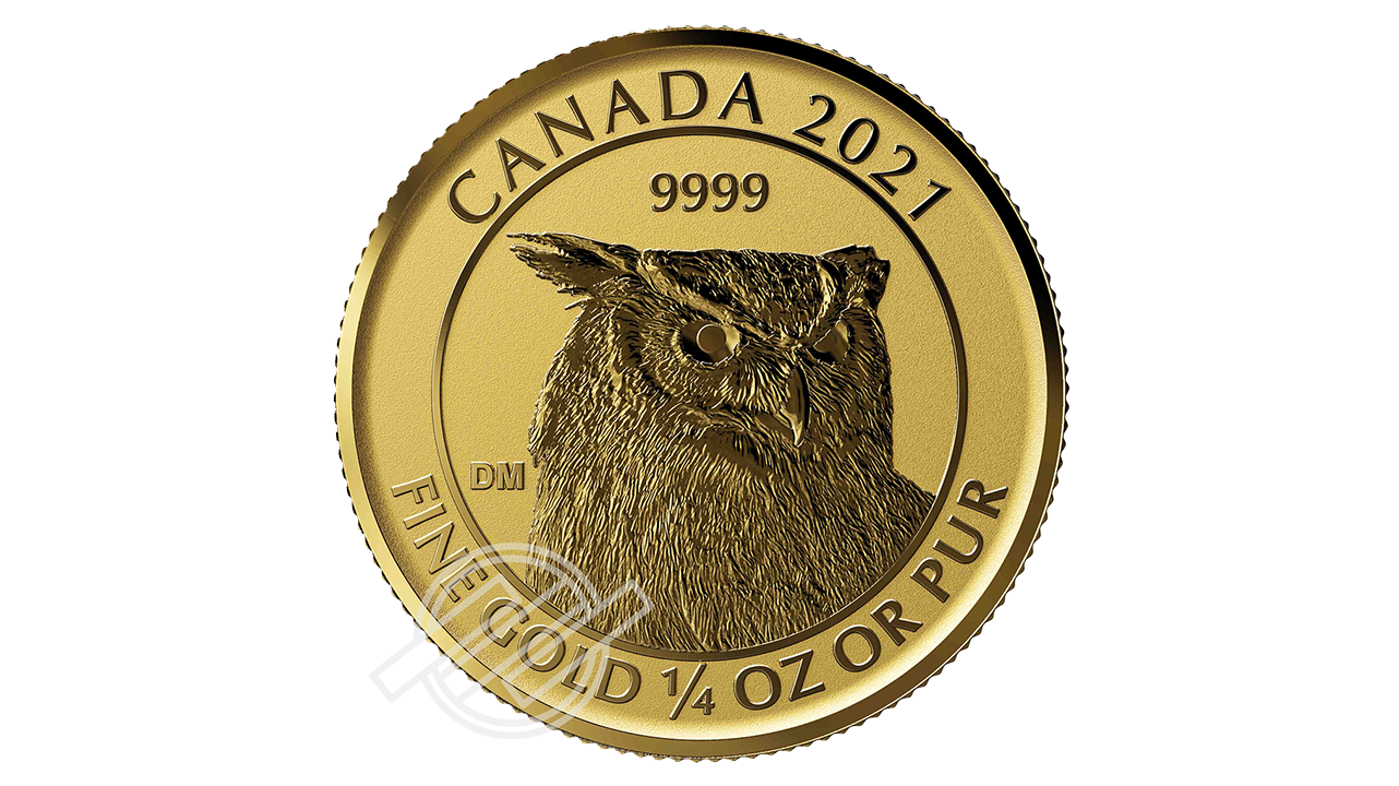 2021_Gold_GreatHornedOwl_VideoPlaceholder