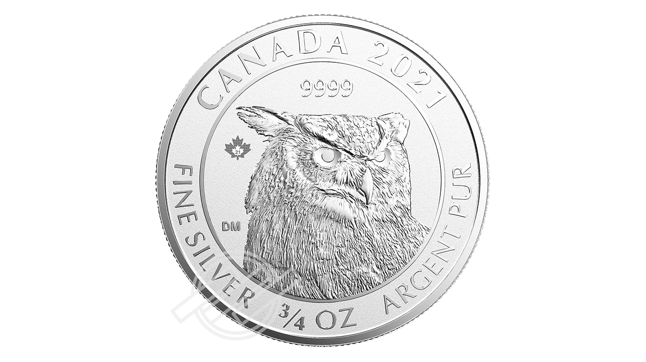 2021_Silver_GreatHornedOwl_VideoPlaceholder