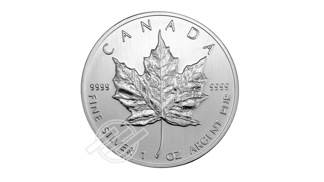 silver_maple_leaf_video-placeholder Silver Maple Leaf